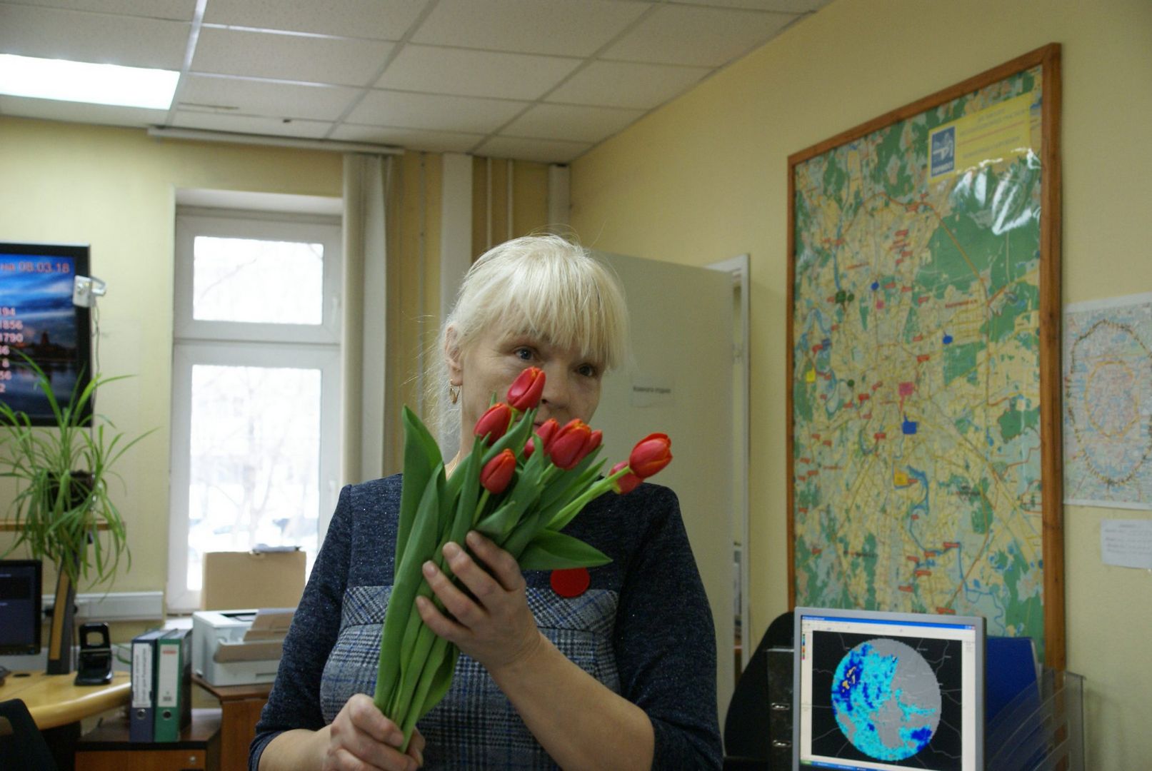 Красные тюльпаны 8 марта Красные тюльпаны 8 марта
