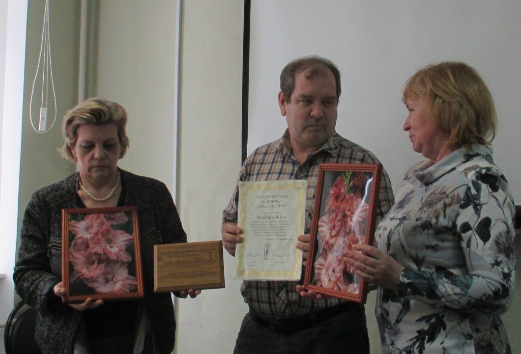гладиолус гладиолус