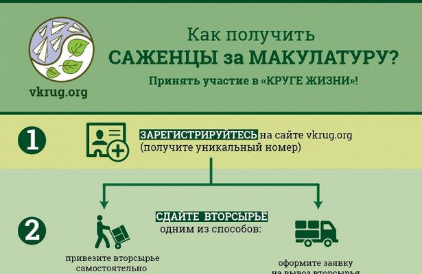 Саженцы за макулатуру Саженцы за макулатуру