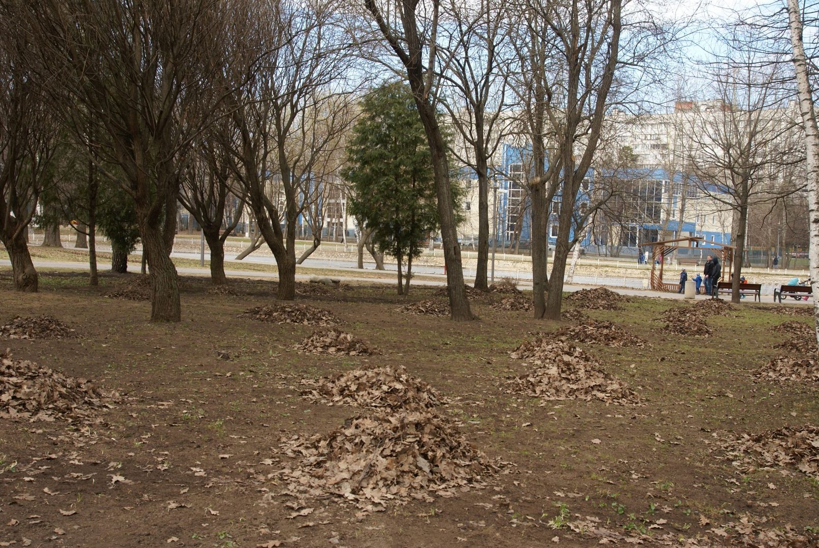 газон осенняя листва