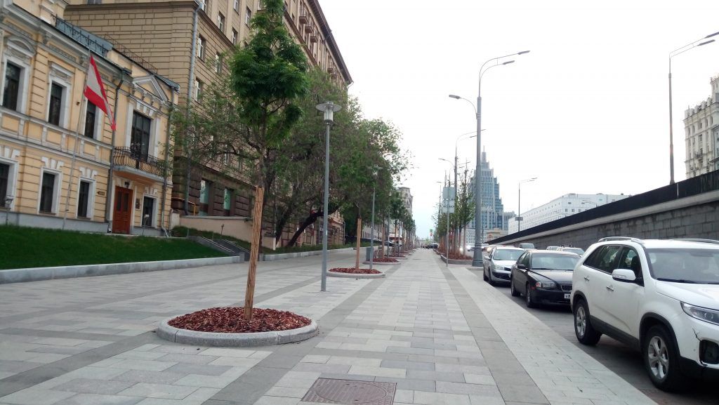 озеление посадка кустов и деревьев озеление посадка кустов и деревьев