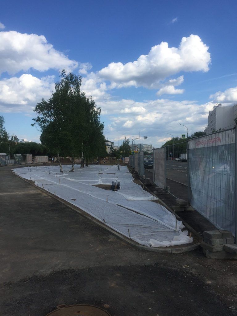  Парк Света благоустройство озеленение Бибирево Мой район 