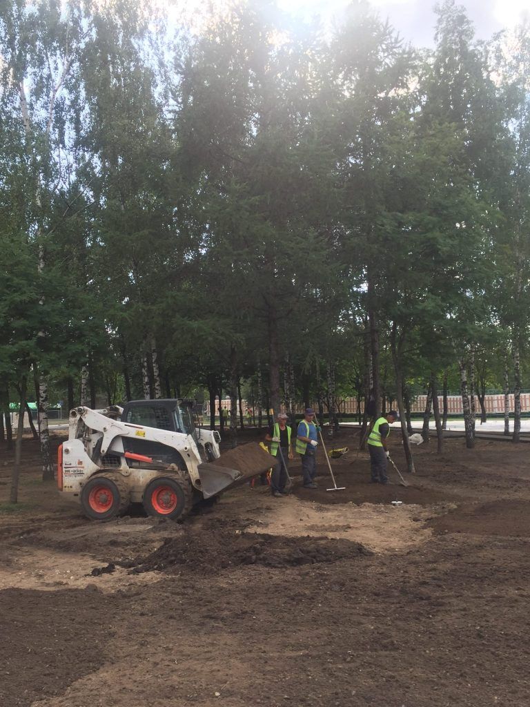  Парк Света благоустройство озеленение Бибирево Мой район 