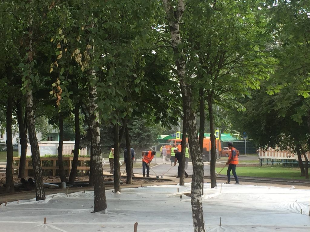  Парк Света благоустройство озеленение Бибирево Мой район 