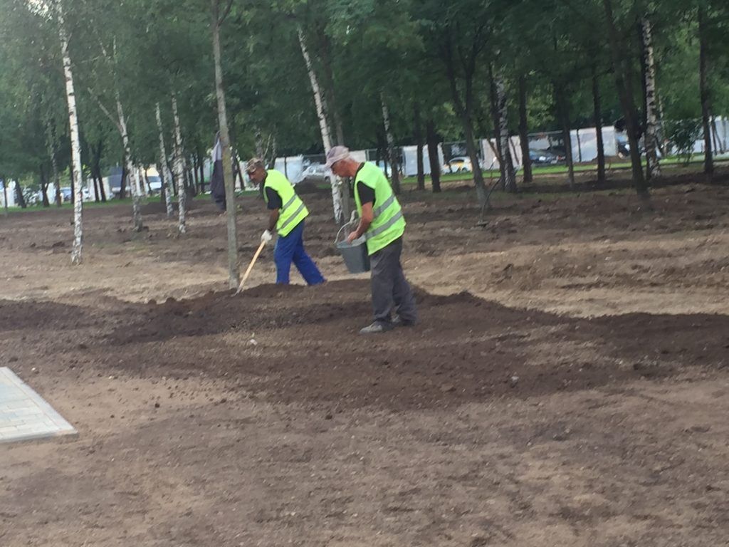  Парк Света благоустройство озеленение Бибирево Мой район 