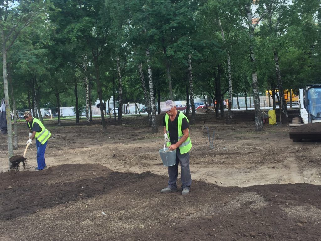  Парк Света благоустройство озеленение Бибирево Мой район 