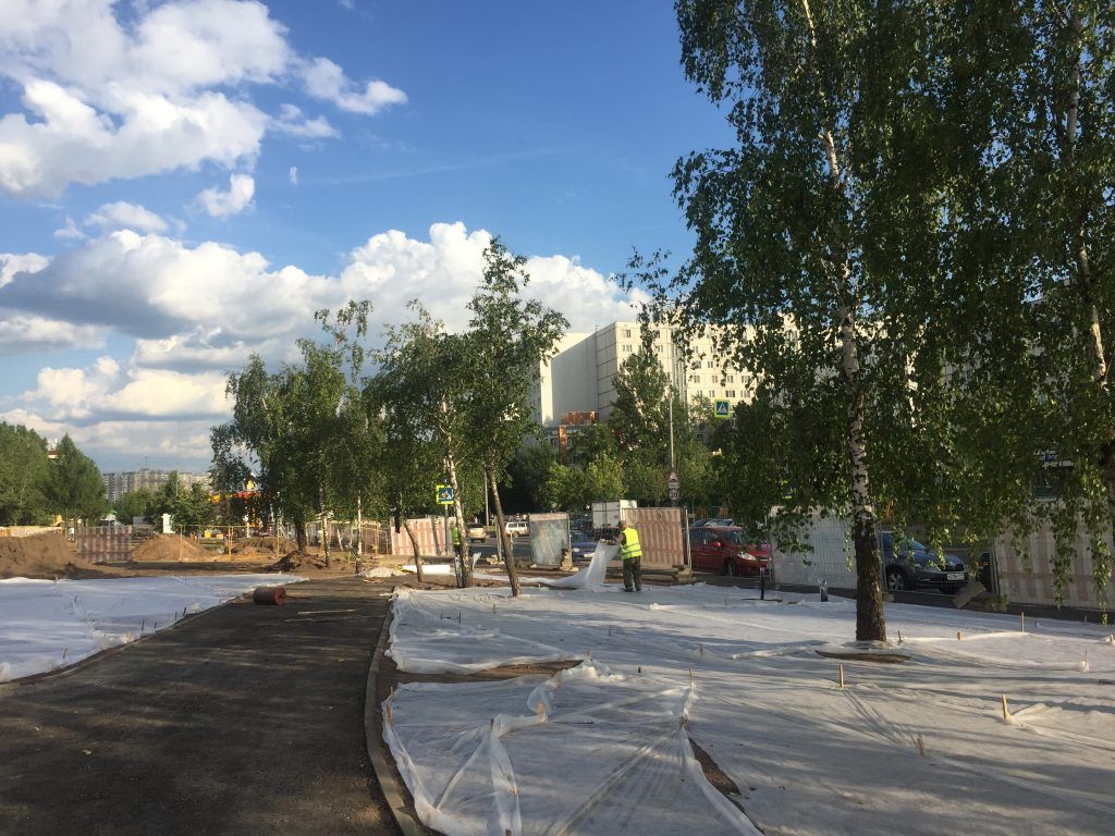  Парк Света благоустройство озеленение Бибирево Мой район 