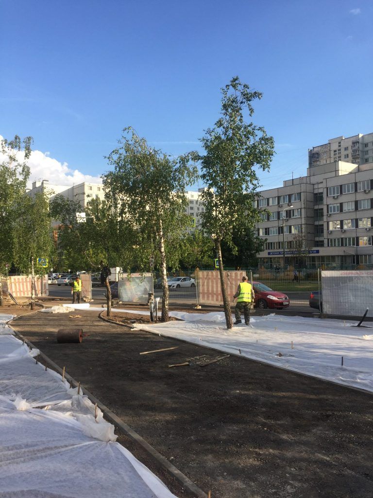  Парк Света благоустройство озеленение Бибирево Мой район 
