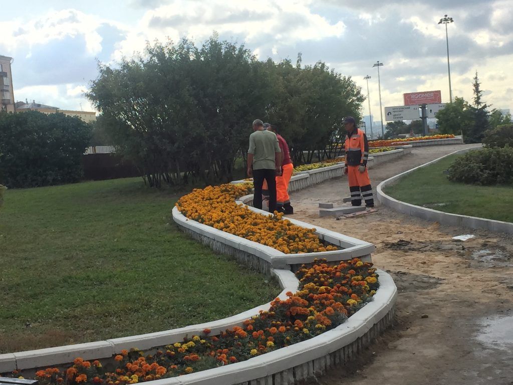 благоустройство, метро, реконструкция, Филевская линия, клумбы
