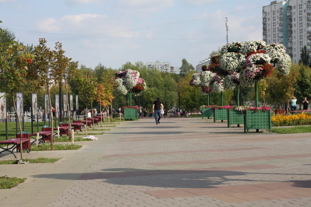 парк «70-летия Победы в Великой Отечественной войне», скамейки, благоустройство парк «70-летия Победы в Великой Отечественной войне», скамейки, благоустройство