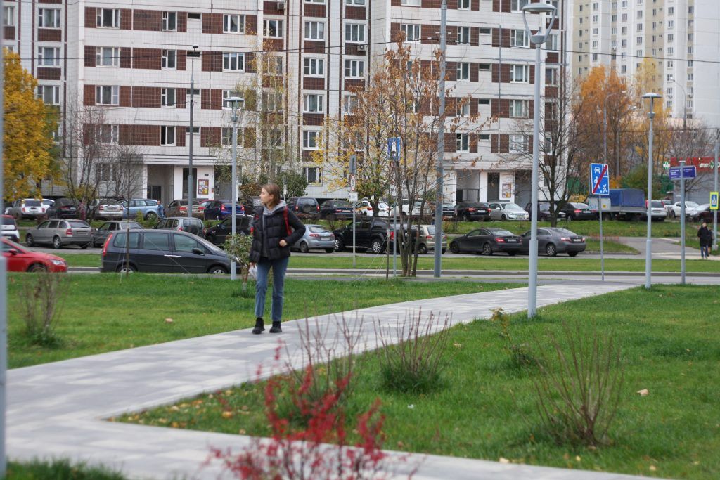 благоустройство, сквер, Митино