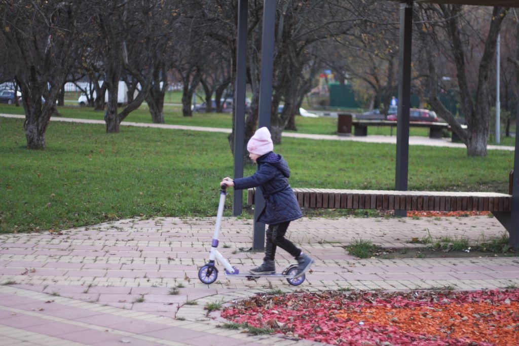 Яблоневый сад, благоустройство, дорожки Яблоневый сад, благоустройство, дорожки