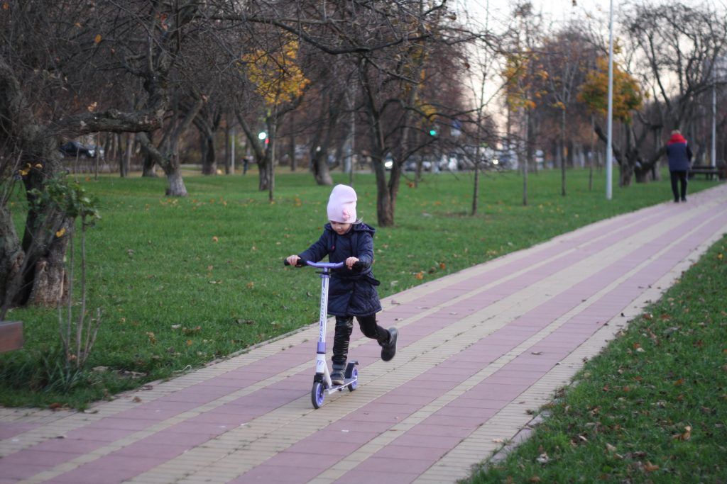 Яблоневый сад, благоустройство, дорожки Яблоневый сад, благоустройство, дорожки