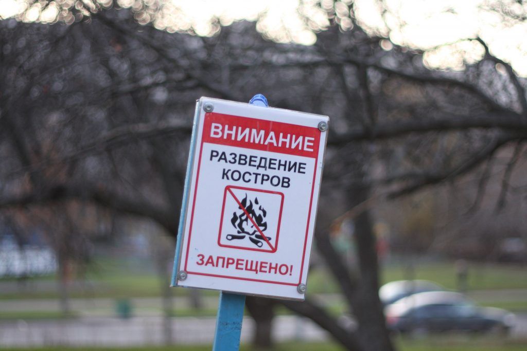 Яблоневый сад, благоустройство Яблоневый сад, благоустройство