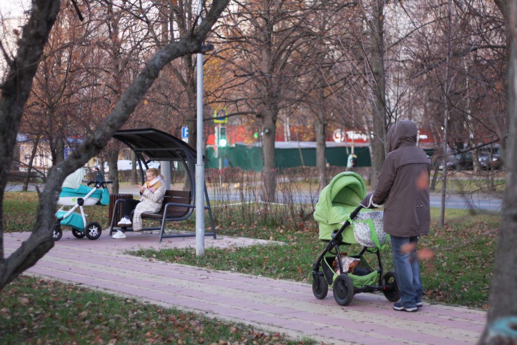 Яблоневый сад, благоустройство, дорожки Яблоневый сад, благоустройство, дорожки