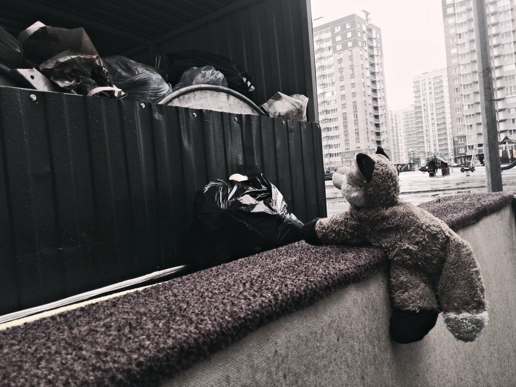 бездомные животные, приюты, животные, улица