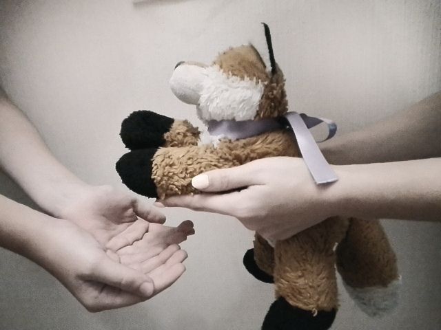 бездомные животные, приюты, животные, улица