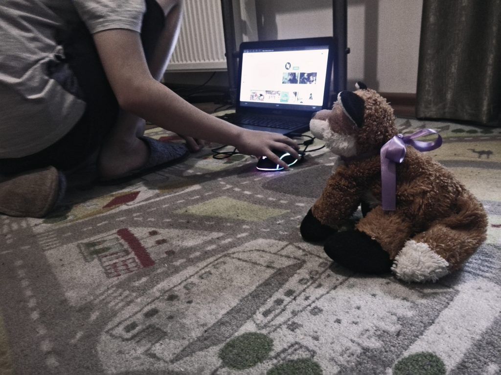 бездомные животные, приюты, животные, улица