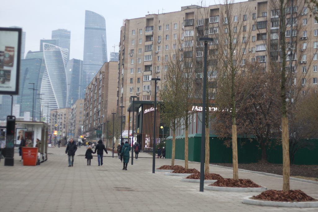 деревья, озеленение, благоустройство