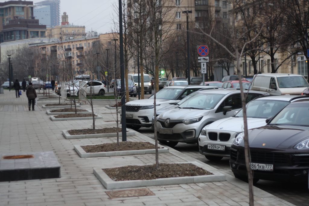 деревья, озеленение, благоустройство