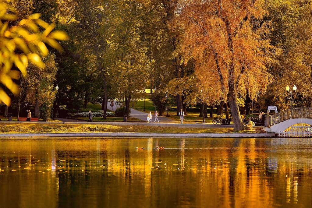 парк, осень, фото mos.ru