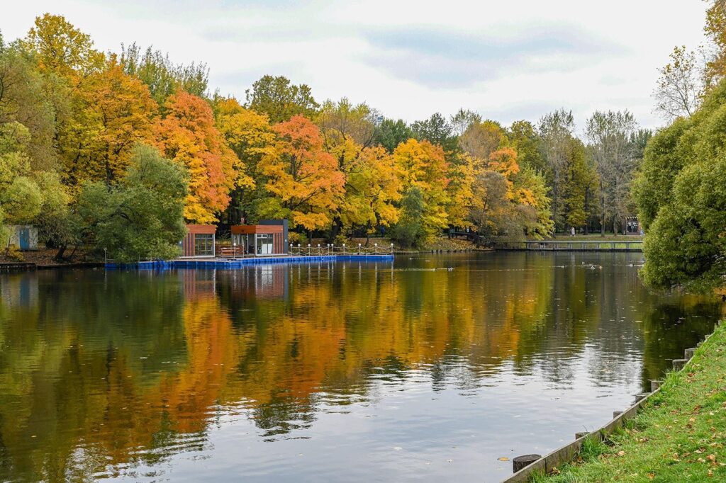парк, осень, фото mos.ru