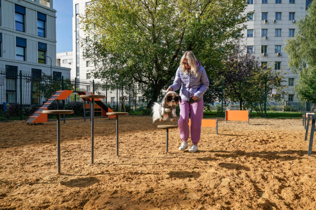 благоустройство, САО, фото sobyanin.ru