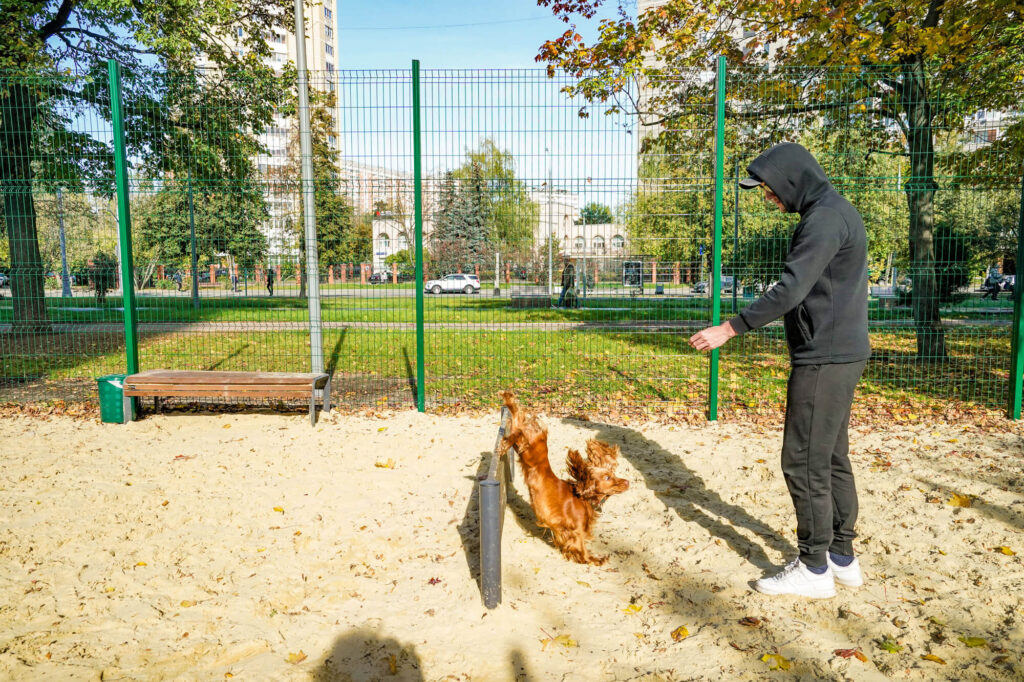 благоустройство, САО, фото sobyanin.ru