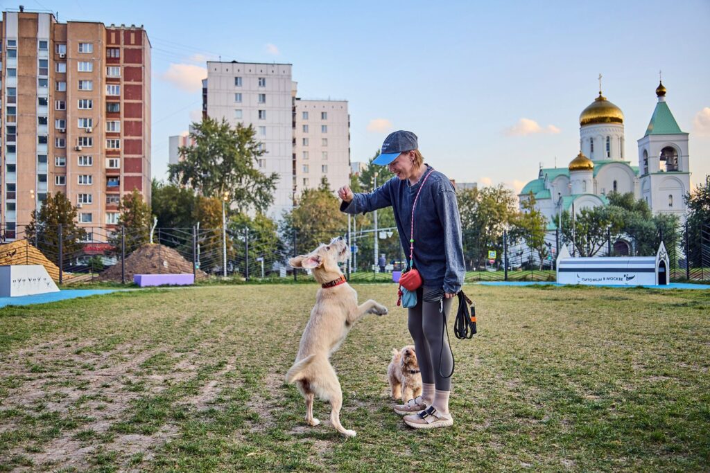 Площадка для выгула собак, фото mos.ru