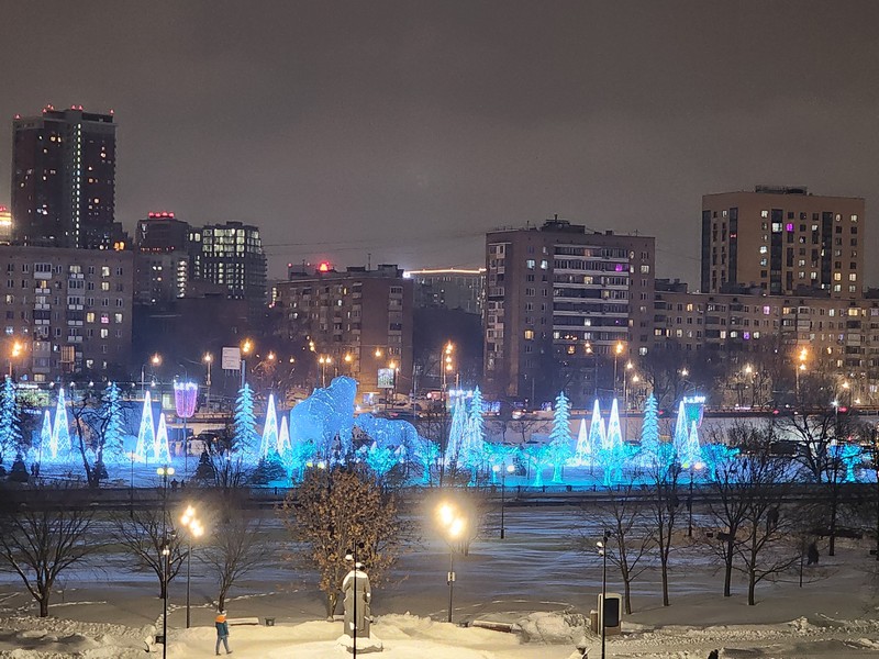 Ростокино, медведи, фото Юлия Смагринская