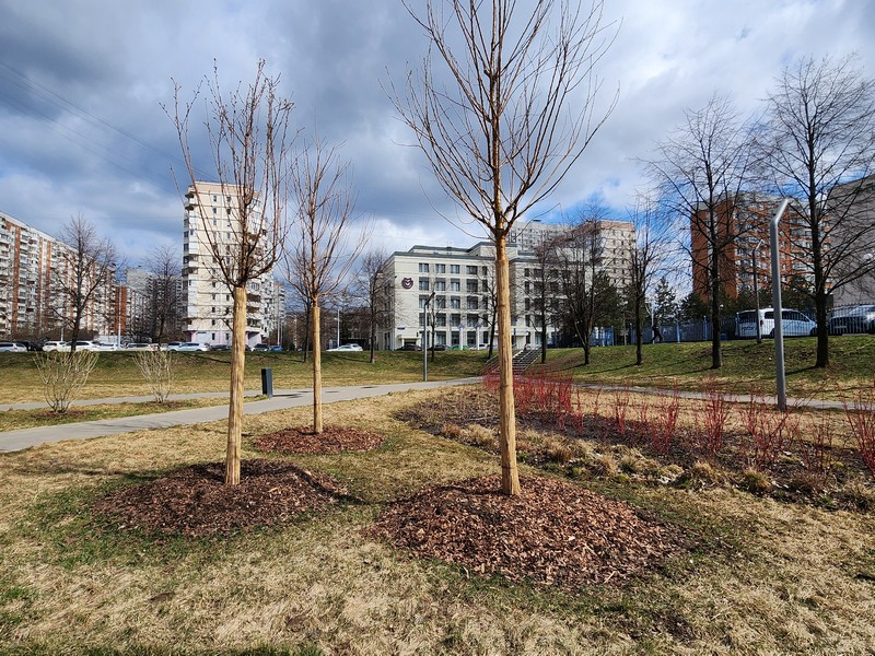 Сквер Ветеранов, парк, весна, фото Юлия Смагринская