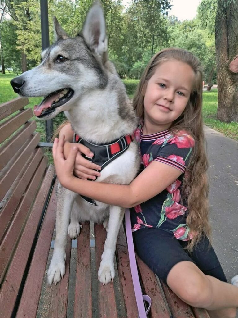 собака, фото КГХ
