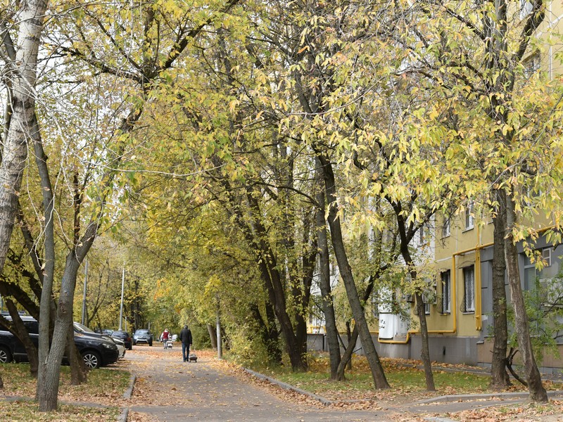 Кировоградская улица, благоустройство, фото Яна Маевская