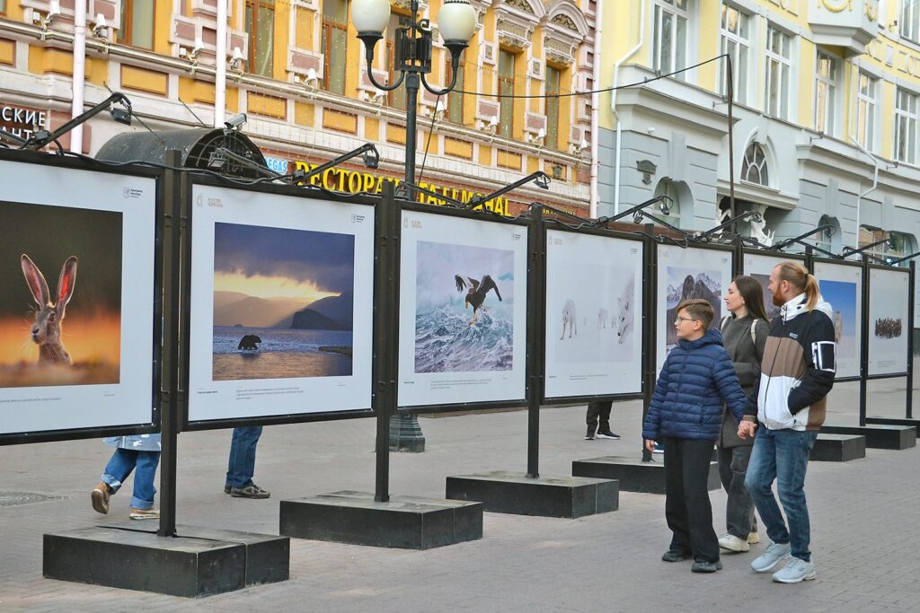 фотовыставка, фото ДПиООС