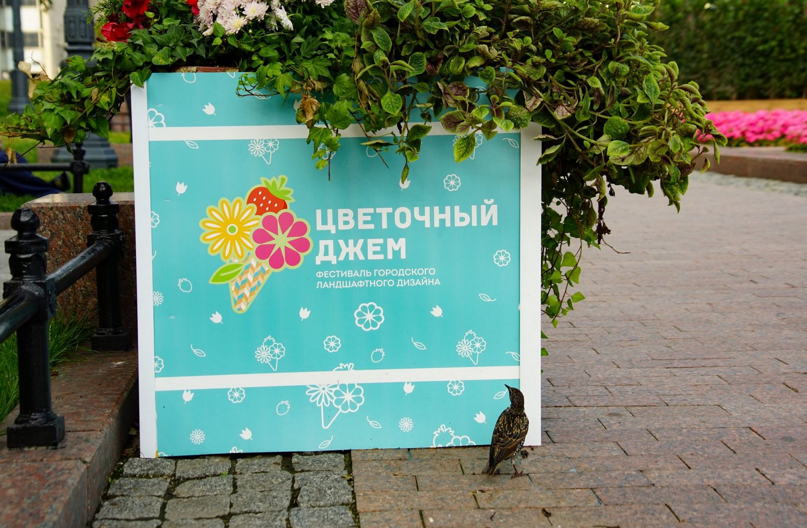 Цветочный Джем