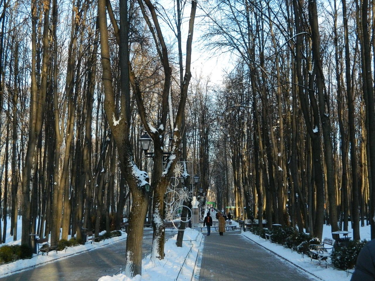 Бабушкинский парк