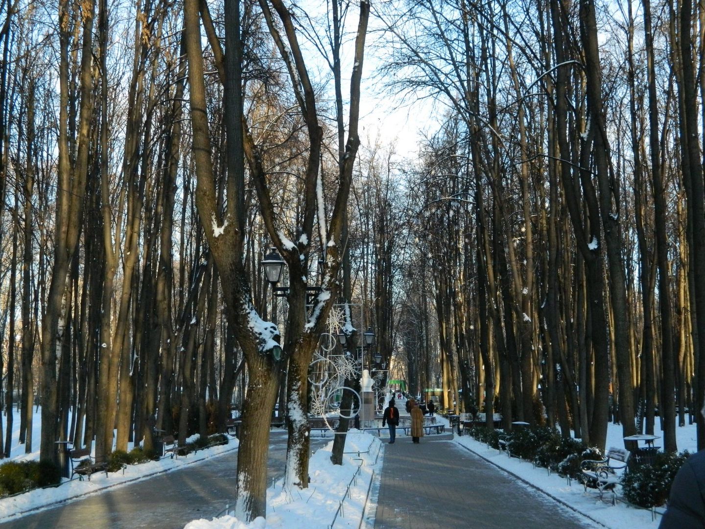 Бабушкинский парк