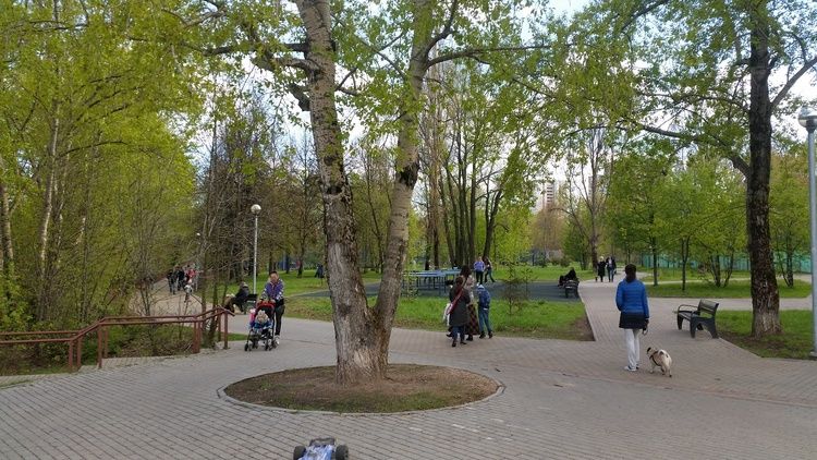 Северное Тушино