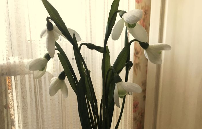 подснежник
