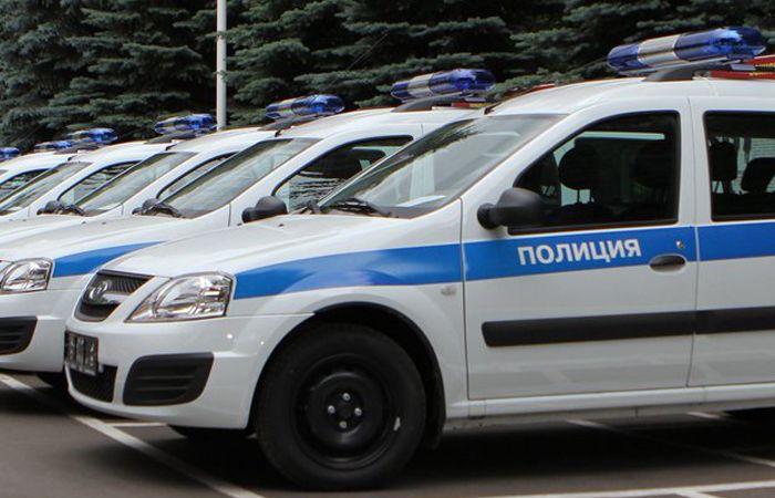 полиция, уголовное дело