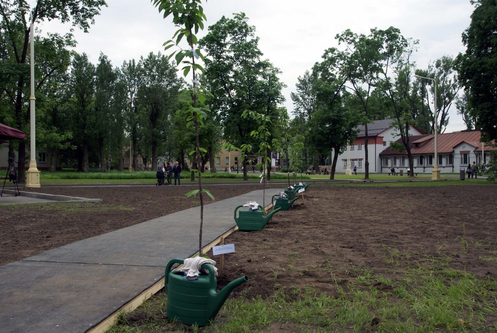 сад молодоженов
