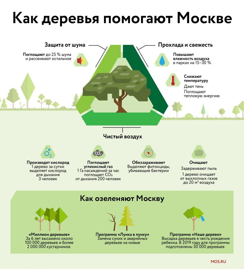 экология, озеленение