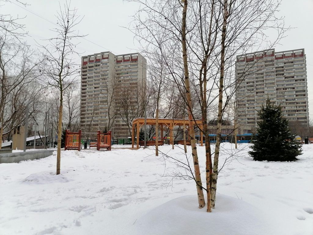 Берёзки, сквер, зима