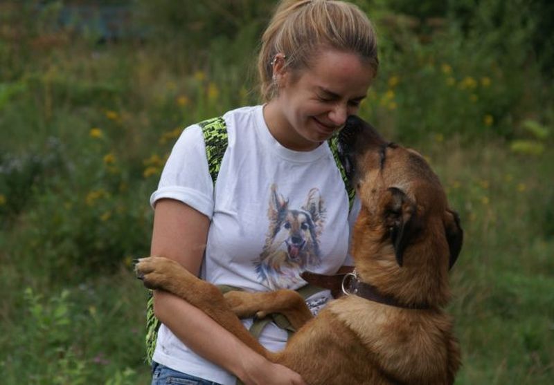 приют, кошки, собаки