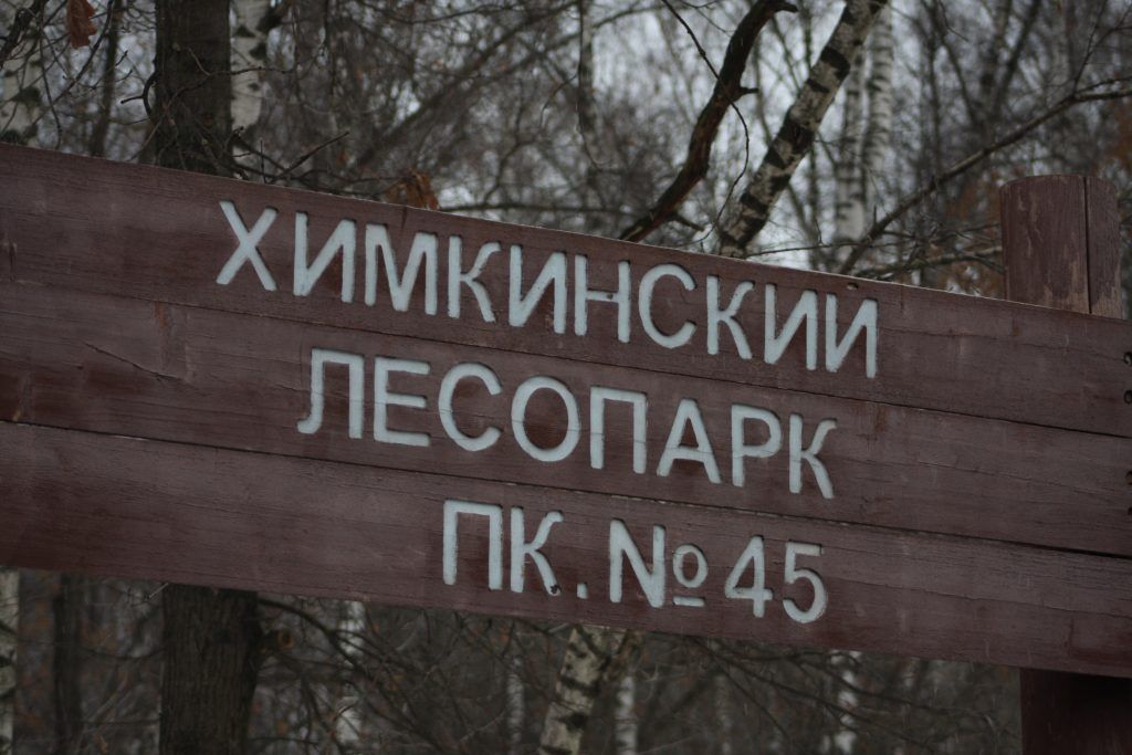 лесопарк