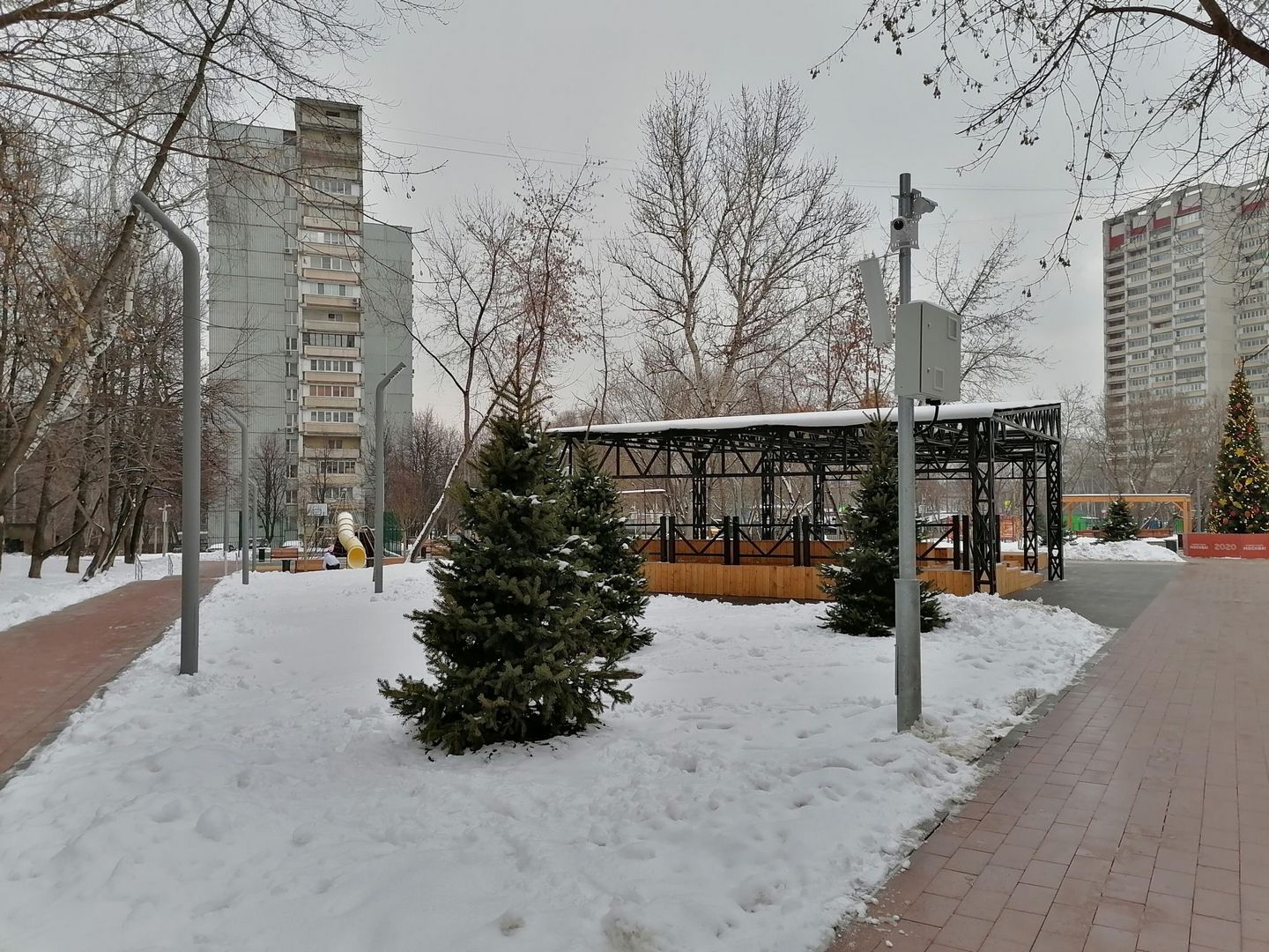 Маленькие ёлочки в сквере