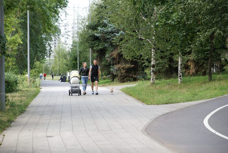 наше дерево, парк