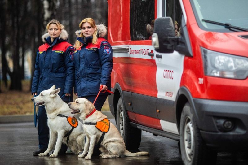 пожарные, спасатели