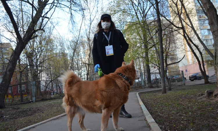 волонтер