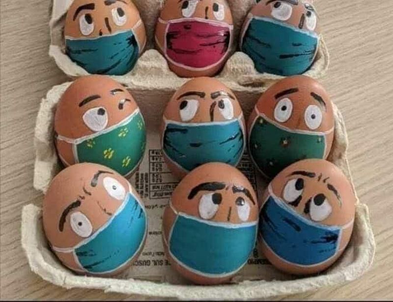 яйца